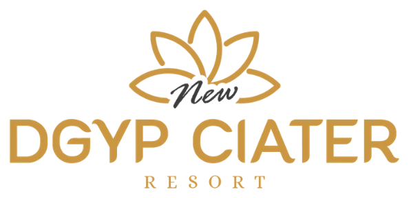 New DGYP Ciater logo