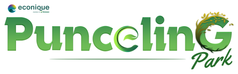 Punceling Park logo